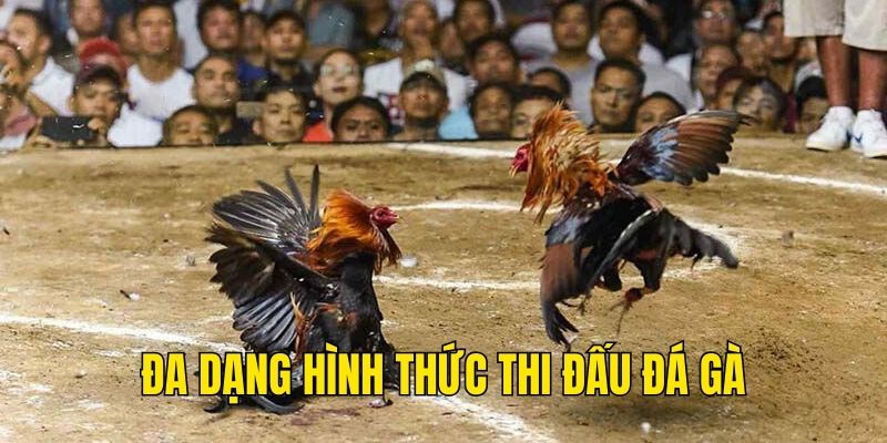 Đa dạng hình thức thi đấu