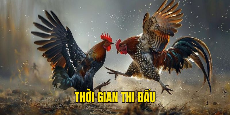 Luật về thời gian thi đấu