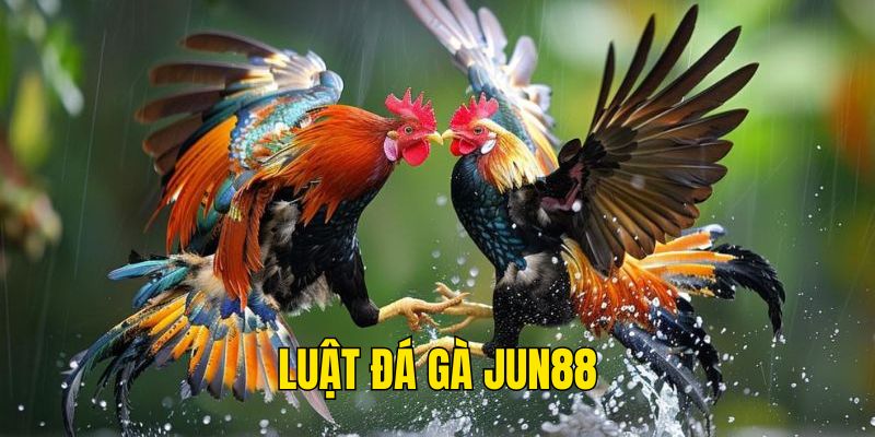 Sơ lược luật đá gà JUN88