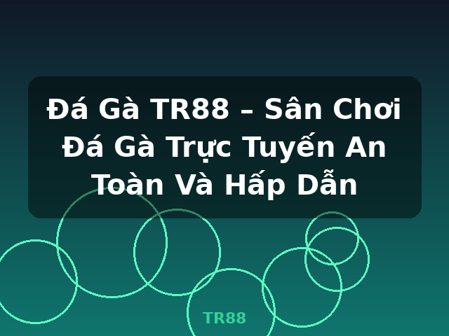 Đá Gà TR88 – Sân Chơi Đá Gà Trực Tuyến An Toàn Và Hấp Dẫn - TR88
