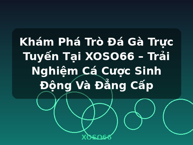 Khám Phá Trò Đá Gà Trực Tuyến Tại XOSO66 – Trải Nghiệm Cá Cược Sinh Động Và Đẳng Cấp - XOSO66