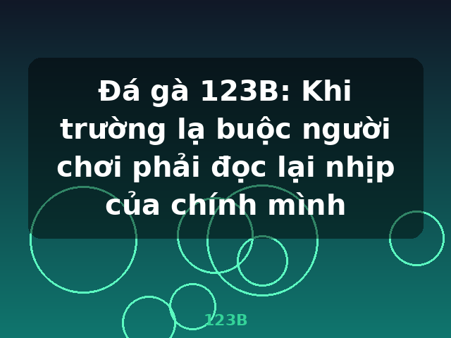 Đá gà 123B: Khi trường lạ buộc người chơi phải đọc lại nhịp của chính mình - 123B