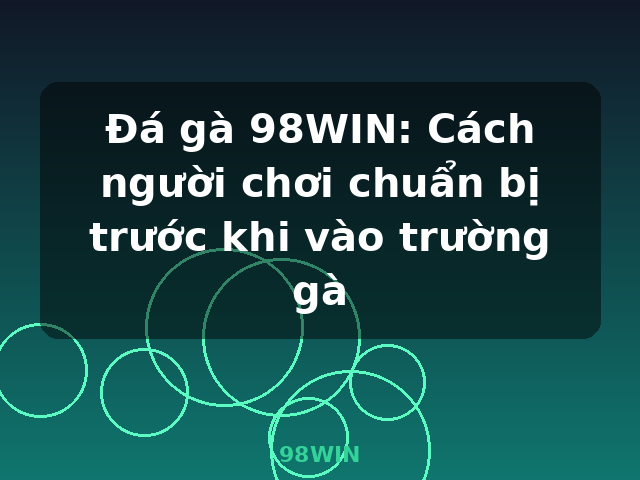 Đá gà 98WIN: Cách người chơi chuẩn bị trước khi vào trường gà - 98WIN Đá gà 98WIN: Cách người chơi chuẩn bị trước khi vào trường gà - 98WIN