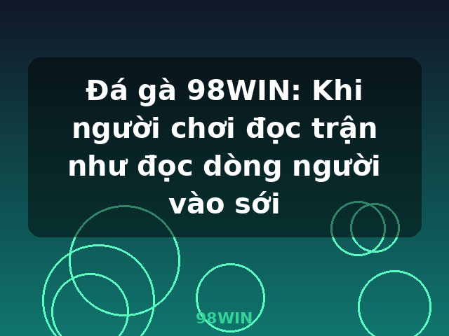 Đá gà 98WIN: Khi người chơi đọc trận như đọc dòng người vào sới - 98WIN Đá gà 98WIN: Khi người chơi đọc trận như đọc dòng người vào sới - 98WIN