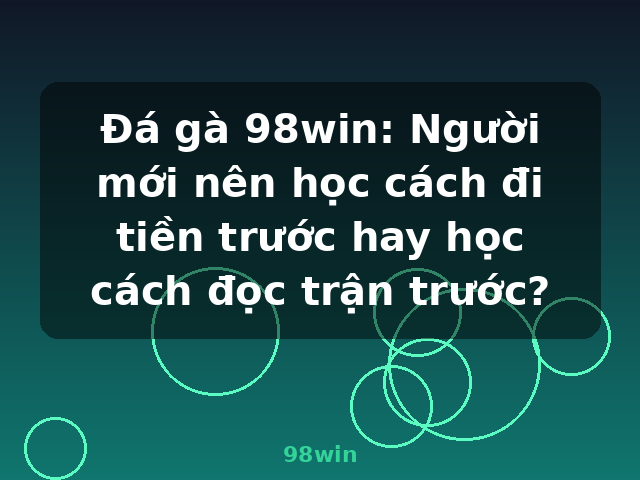 Đá gà 98win: Người mới nên học cách đi tiền trước hay học cách đọc trận trước? - 98win Đá gà 98win: Người mới nên học cách đi tiền trước hay học cách đọc trận trước? - 98win