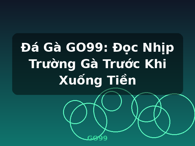 Đá Gà GO99: Đọc Nhịp Trường Gà Trước Khi Xuống Tiền - GO99