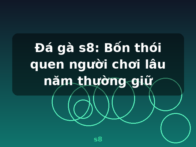 Đá gà s8: Bốn thói quen người chơi lâu năm thường giữ - s8