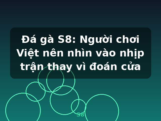 Đá gà S8: Người chơi Việt nên nhìn vào nhịp trận thay vì đoán cửa - S8