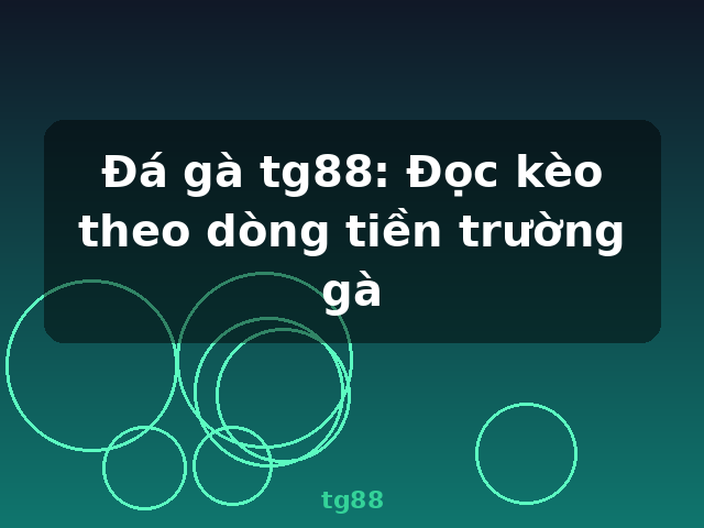 Đá gà tg88: Đọc kèo theo dòng tiền trường gà - tg88