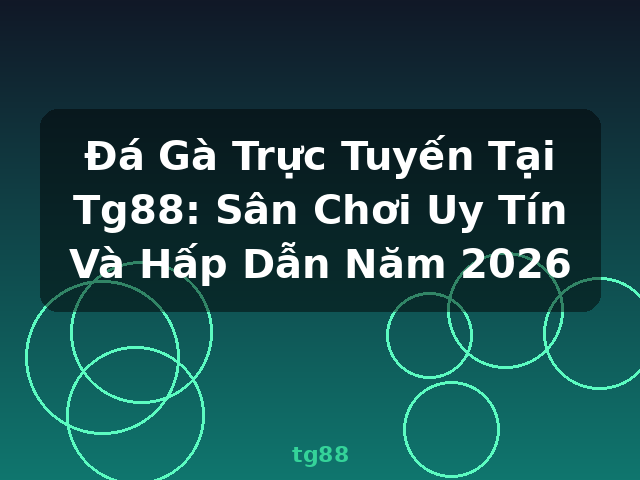 Đá Gà Trực Tuyến Tại Tg88: Sân Chơi Uy Tín Và Hấp Dẫn Năm 2026 - tg88
