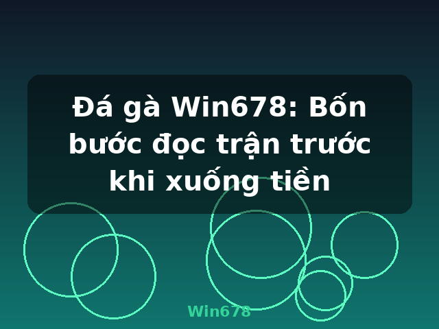 Đá gà Win678: Bốn bước đọc trận trước khi xuống tiền - Win678