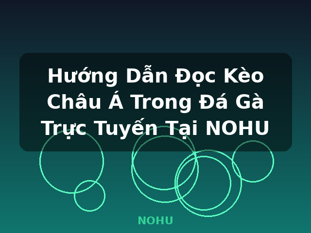 Hướng Dẫn Đọc Kèo Châu Á Trong Đá Gà Trực Tuyến Tại NOHU - NOHU