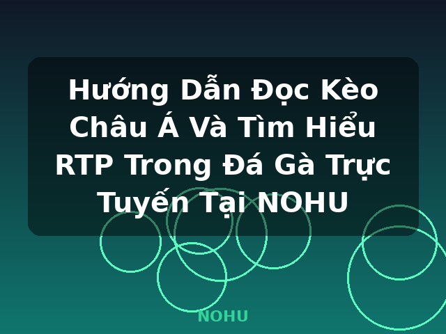 Hướng Dẫn Đọc Kèo Châu Á Và Tìm Hiểu RTP Trong Đá Gà Trực Tuyến Tại NOHU - NOHU