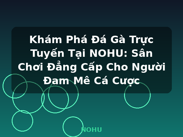 Khám Phá Đá Gà Trực Tuyến Tại NOHU: Sân Chơi Đẳng Cấp Cho Người Đam Mê Cá Cược - NOHU